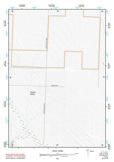 42119NE Page 71 Bluejoint Lake Topo Preview 1