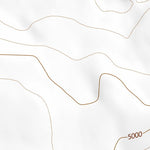 42119NE Page 76 Bluejoint Lake Topo Preview 2