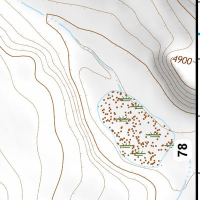 42119NE Page 77 Bluejoint Lake Topo Preview 3