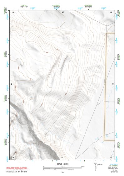 42119NE Page 79 Bluejoint Lake Topo Preview 1