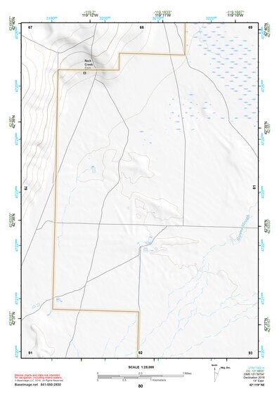 42119NE Page 80 Bluejoint Lake Topo Preview 1