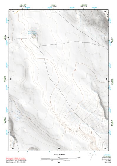 42119NE Page 87 Bluejoint Lake Topo Preview 1