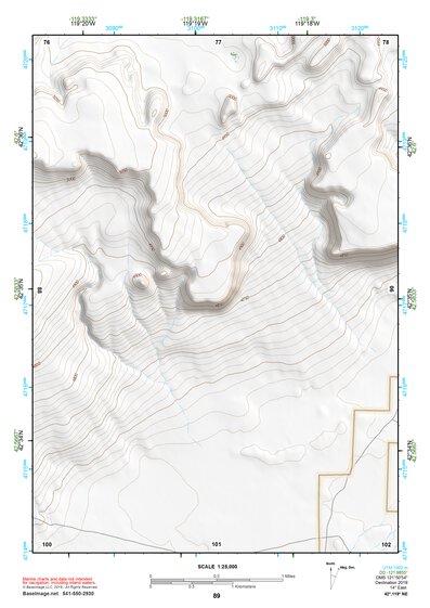 42119NE Page 89 Bluejoint Lake Topo Preview 1