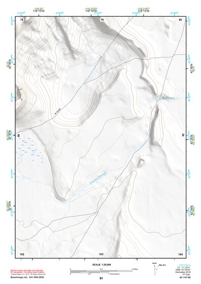 42119NE Page 91 Bluejoint Lake Topo Preview 1