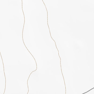 42119NW Page 8 Bluejoint Lake Topo Preview 2