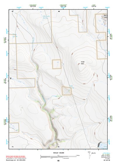 42120SE Page 60 Lakeview Topo Preview 1