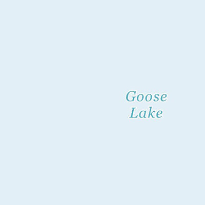 42120SE Page 98 Lakeview Topo Preview 3