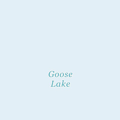 42120SE Page 100 Lakeview Topo Preview 3