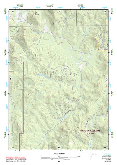 42123NE Page 47 Canyonville Topo Preview 1