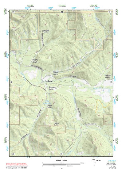 42123NE Page 74 Canyonville Topo Preview 1
