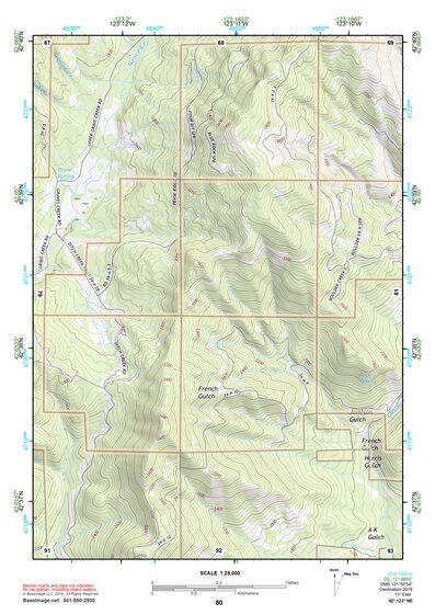 42123NE Page 80 Canyonville Topo Preview 1