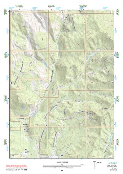 42123NE Page 81 Canyonville Topo Preview 1