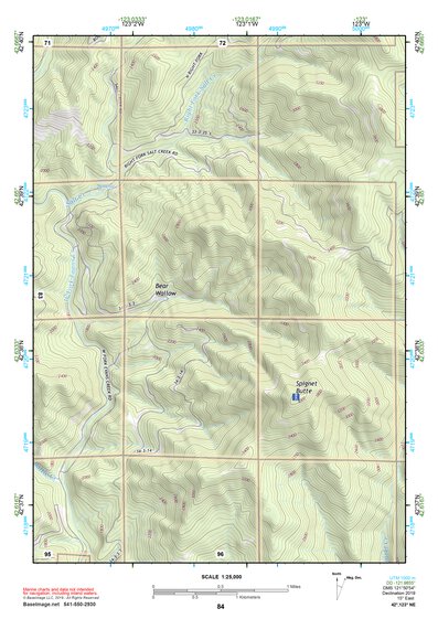 42123NE Page 84 Canyonville Topo Preview 1