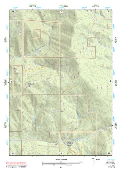 42123NE Page 90 Canyonville Topo Preview 1