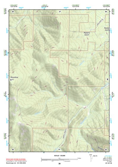 42123SE Page 39 Grants Pass Topo Preview 1