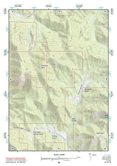 42123SE Page 45 Grants Pass Topo Preview 1