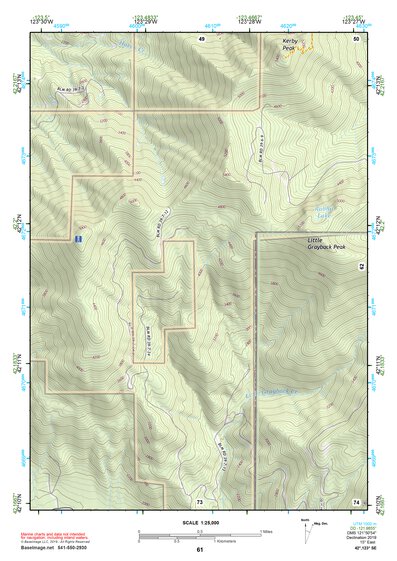 42123SE Page 61 Grants Pass Topo Preview 1