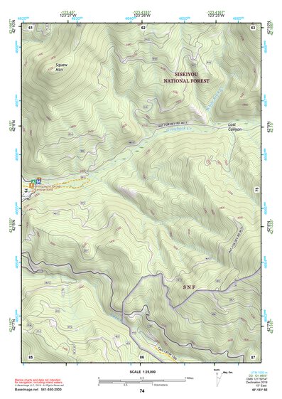 42123SE Page 74 Grants Pass Topo Preview 1