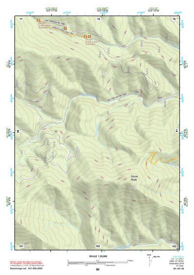 42123SE Page 90 Grants Pass Topo Preview 1