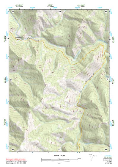 42123SW Page 51 Grants Pass Topo Preview 1