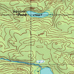 (43074e1) Page 040 Raquette Lake Preview 2
