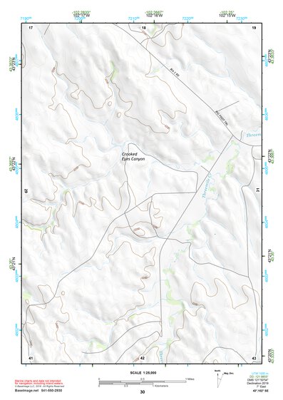 43102SE Page 30 Pine Ridge Topo Preview 1