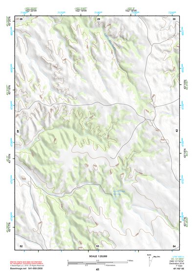 43102SE Page 41 Pine Ridge Topo Preview 1