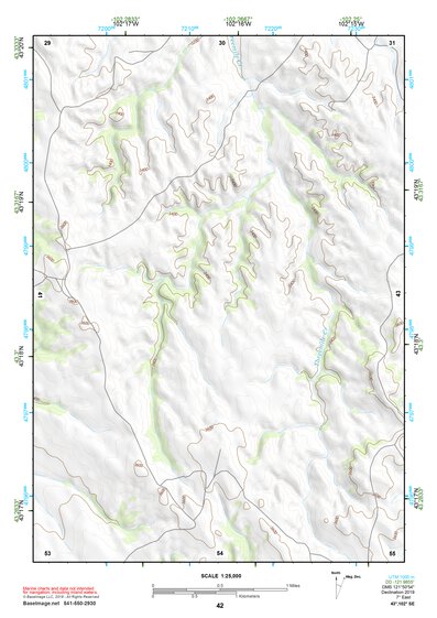 43102SE Page 42 Pine Ridge Topo Preview 1