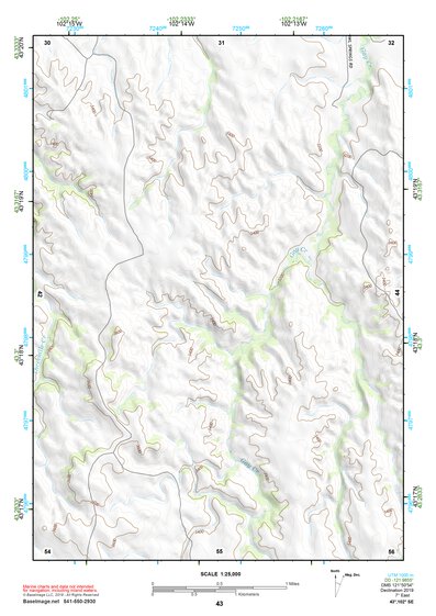 43102SE Page 43 Pine Ridge Topo Preview 1