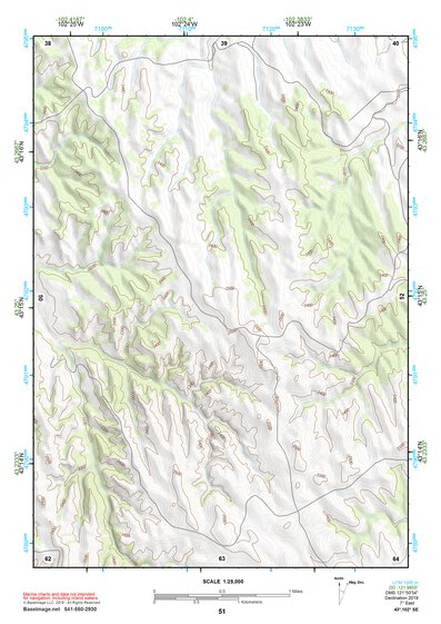 43102SE Page 51 Pine Ridge Topo Preview 1