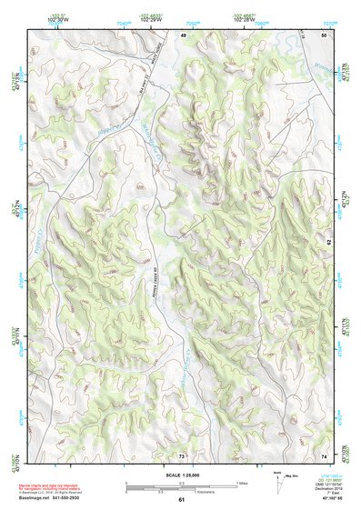 43102SE Page 61 Pine Ridge Topo Preview 1