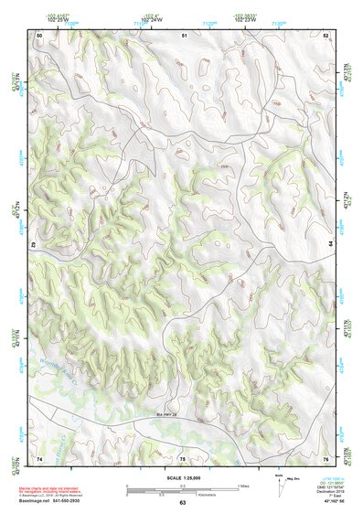 43102SE Page 63 Pine Ridge Topo Preview 1