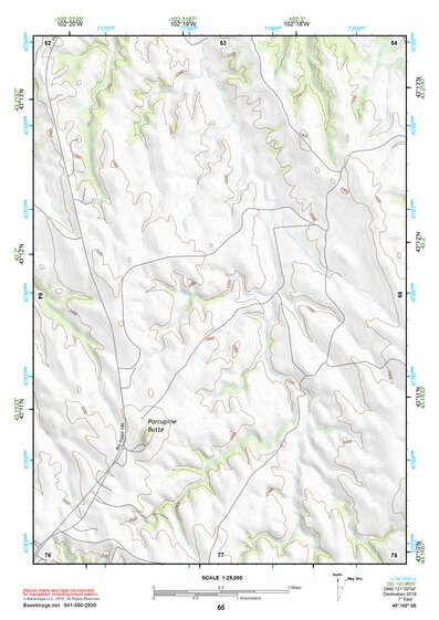 43102SE Page 65 Pine Ridge Topo Preview 1