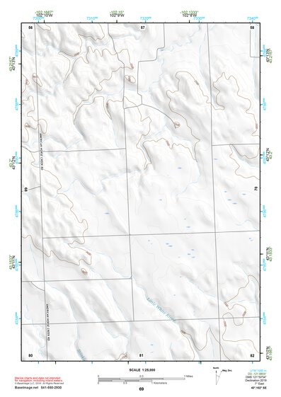 43102SE Page 69 Pine Ridge Topo Preview 1