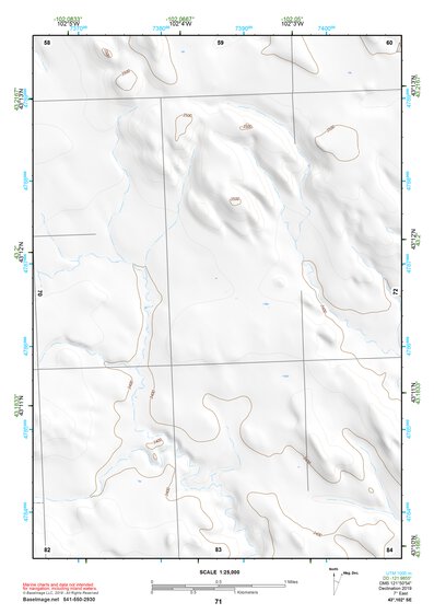 43102SE Page 71 Pine Ridge Topo Preview 1