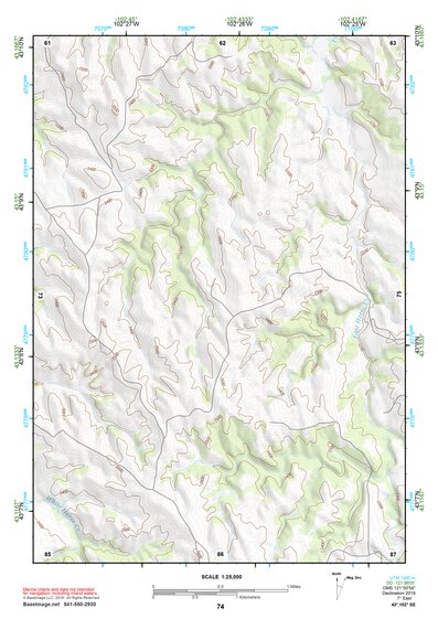 43102SE Page 74 Pine Ridge Topo Preview 1