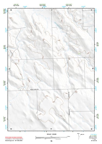 43102SE Page 79 Pine Ridge Topo Preview 1