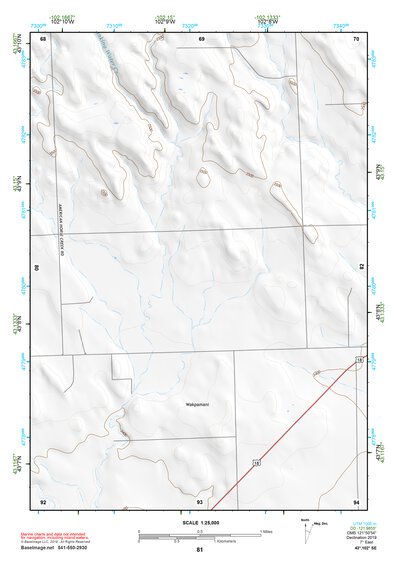 43102SE Page 81 Pine Ridge Topo Preview 1