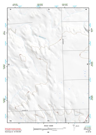 43102SE Page 91 Pine Ridge Topo Preview 1