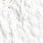 43102SE Page 100 Pine Ridge Topo Preview 2