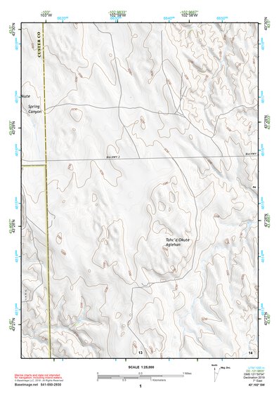 43102SW Page 1 Pine Ridge Topo Preview 1
