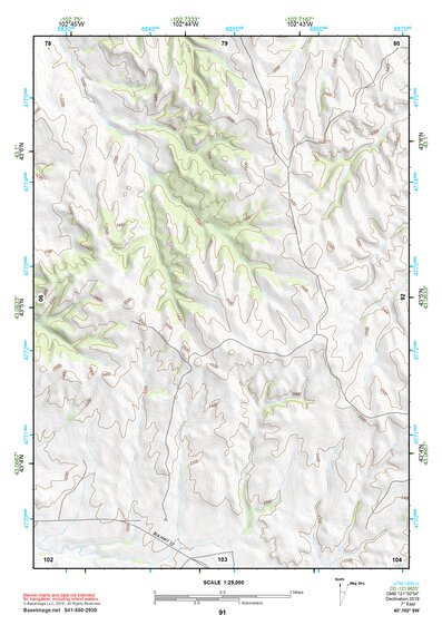 43102SW Page 91 Pine Ridge Topo Preview 1