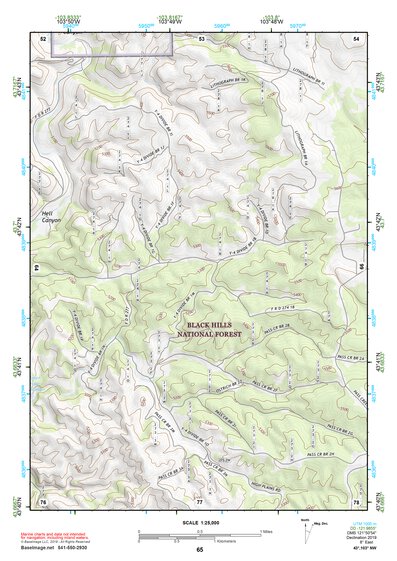 43103NW Page 65 Mount Rushmore Topo Preview 1