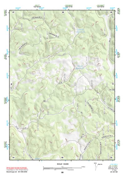 43103NW Page 80 Mount Rushmore Topo Preview 1