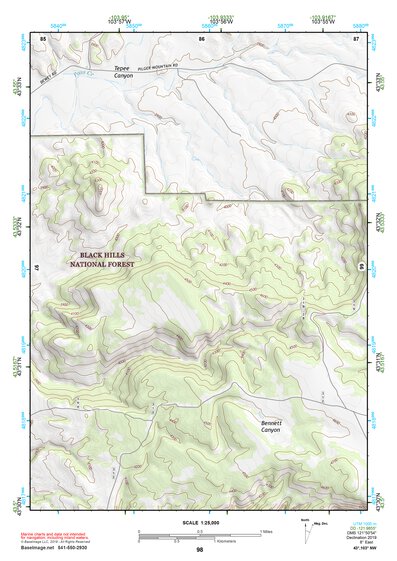 43103NW Page 98 Mount Rushmore Topo Preview 1
