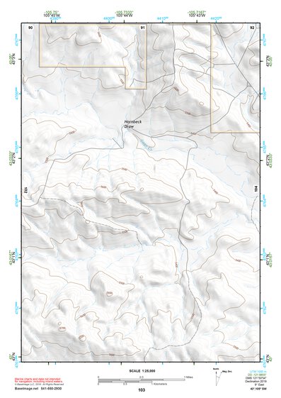 43105SW Page 103 Bill Topo Preview 1