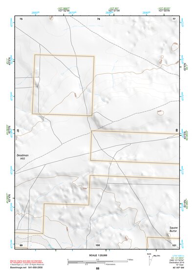 43107SW Page 88 Lysite Topo Preview 1