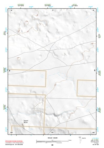 43107SW Page 89 Lysite Topo Preview 1
