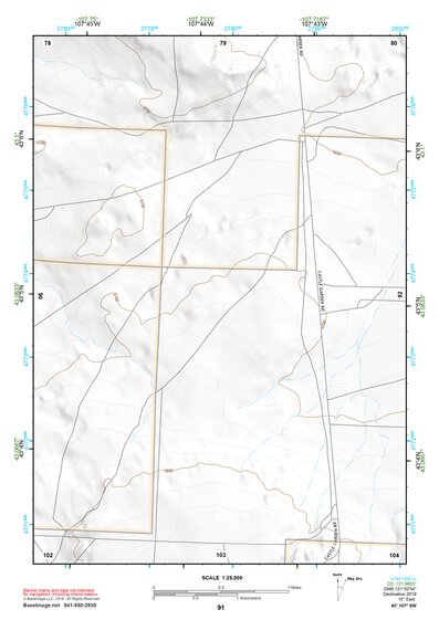 43107SW Page 91 Lysite Topo Preview 1