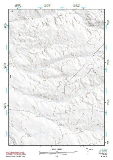 43108SE Page 103 Riverton Topo Preview 1